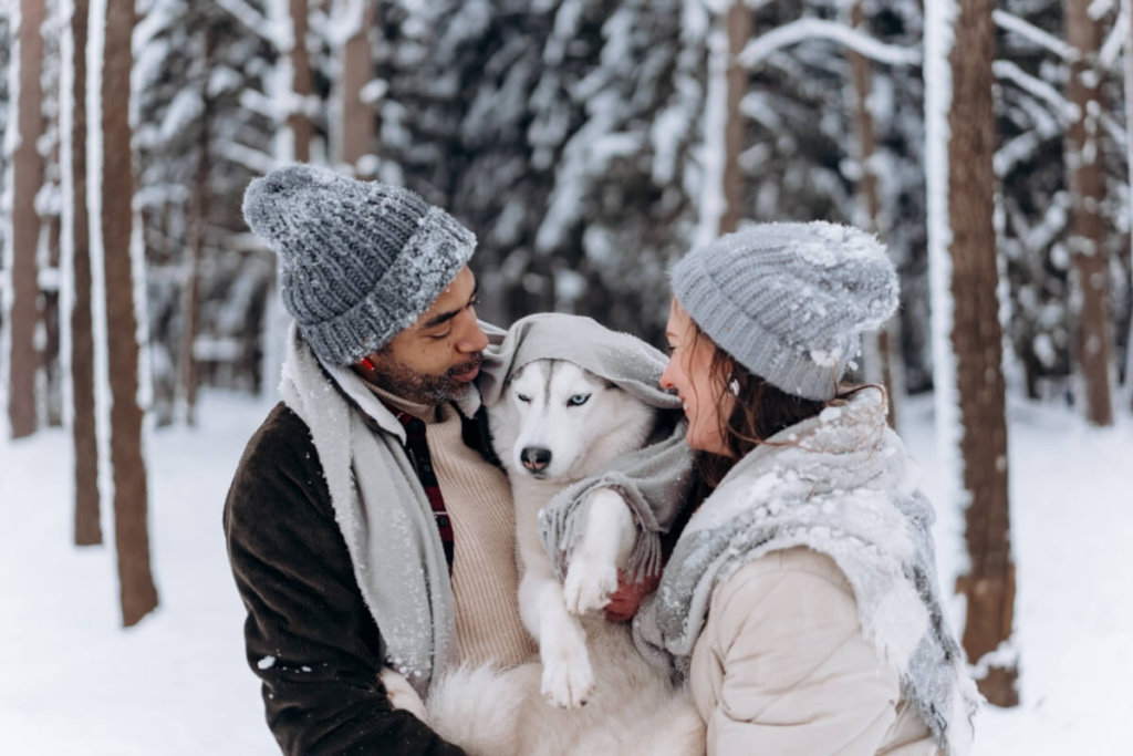 Para otula psa Siberian Husky kocem podczas zimowego spaceru w lesie – jak dbać o psa w chłodne dni.