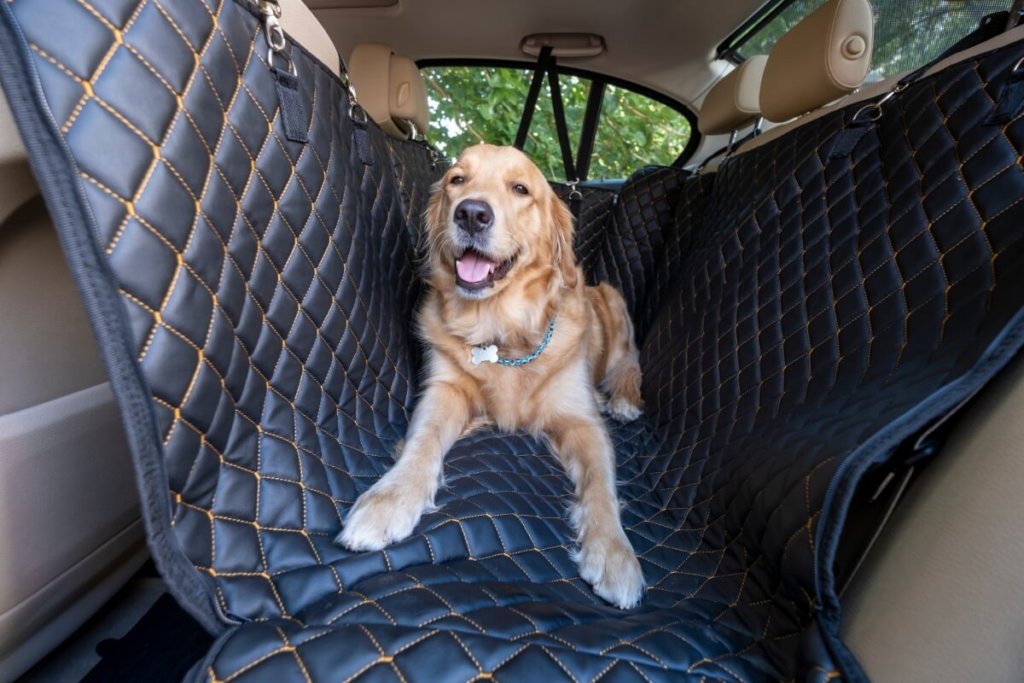 Golden Retriever na tylnej kanapie samochodu z matą ochronną – bezpieczne przewożenie psa