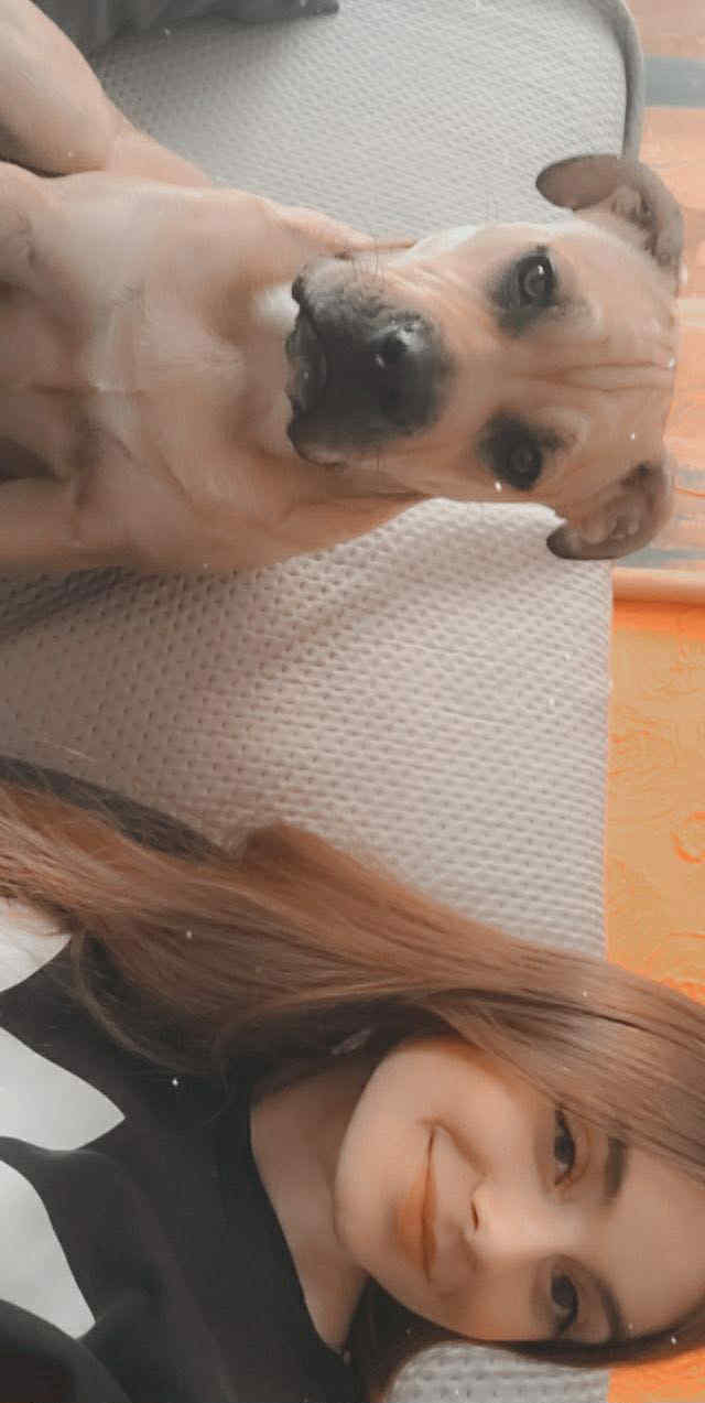 Natka