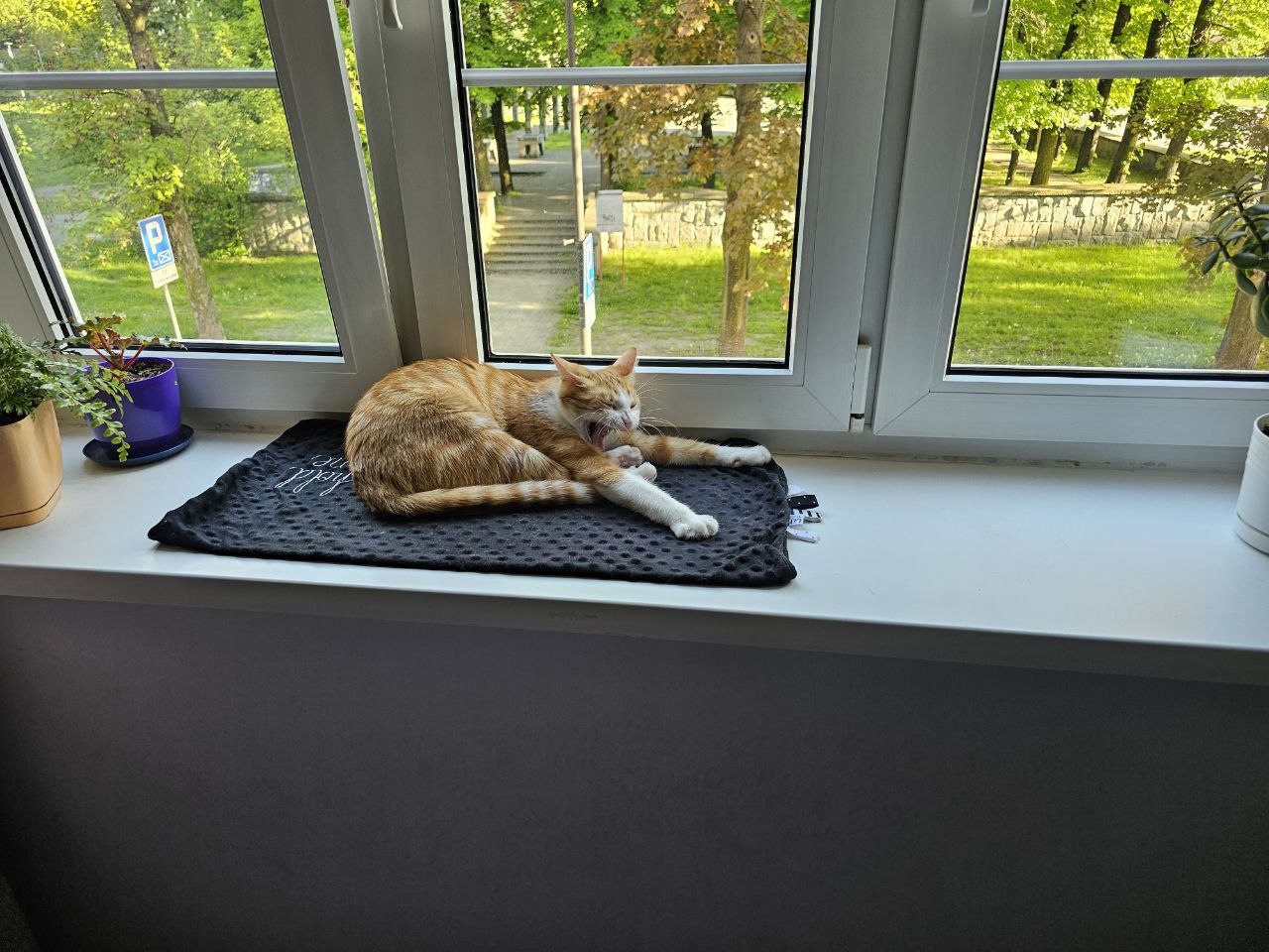 Katarzyna